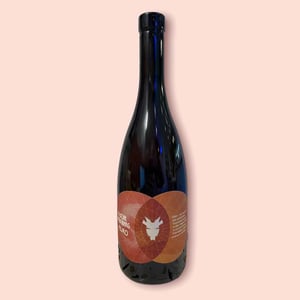 Fejro - Weingut Ploder Rosenberg - manuel-ploder-selina-weratschnig