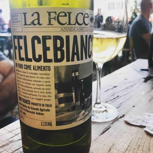 Felce Bianco - Le Felce - Andrea Marcesini 