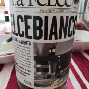 Le Felce - Andrea Marcesini - Felce Bianco