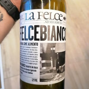 Felce Bianco - Le Felce - Andrea Marcesini 