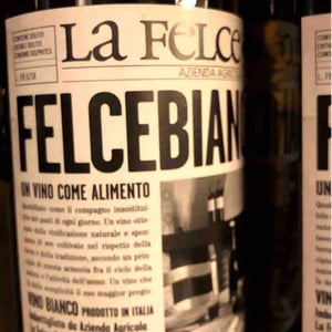Felce Bianco - Le Felce - Andrea Marcesini 