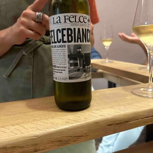 Felce Bianco - Le Felce - Andrea Marcesini 