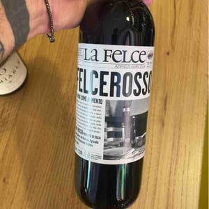 Felce Bianco - Le Felce - Andrea Marcesini 