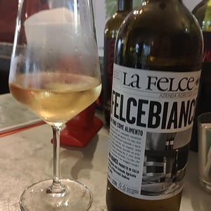 Felce Bianco - Le Felce - Andrea Marcesini 