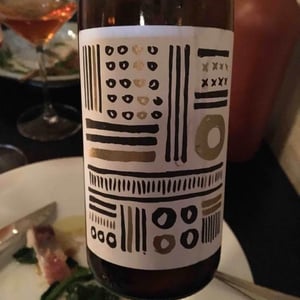 Feldstück Riesling - Weingut Warnung - matthias-warnung
