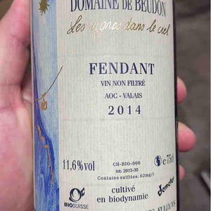 Fendant - Domaine de Beudon - marion-granges-fayss
