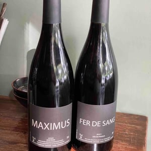 Fer de Sang - Nicolas Carmarans - nicolas-carmarans