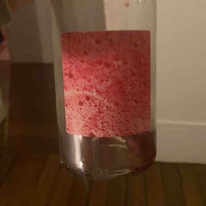 La Roche Buissière - Laurence & Antoine Joly - Fermentations