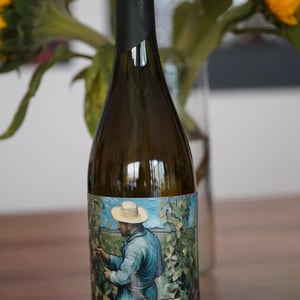 Fermentum Pastor - Vinařství Petr Koráb - petr-korab