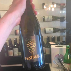 Festival - Korenika E Moskon - Korenika Miran & Ignac Moškon 