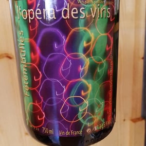 Fêtembulles - Les Vignes de l'Angevin - jean-pierre-robinot