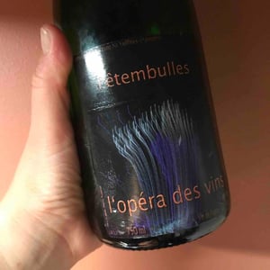 Fêtembulles - Les Vignes de l'Angevin - jean-pierre-robinot