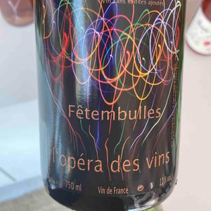 Fêtembulles - Les Vignes de l'Angevin - jean-pierre-robinot