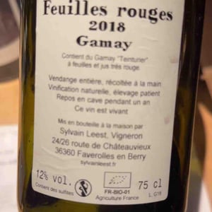 Feuilles Rouges - Sylvain Leest - Sylvain Leest 