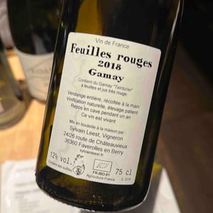 Feuilles Rouges - Sylvain Leest - Sylvain Leest 