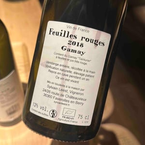 Feuilles Rouges - Sylvain Leest - Sylvain Leest 