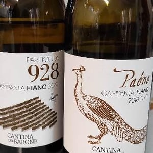Fiano d'Avellino Dop Particella 928 - Cantina del Barone - luigi-sarno