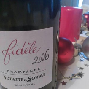 Vouette & Sorbée - Héloïse et Bertrand Gautherot - Fidèle - Brut Nature