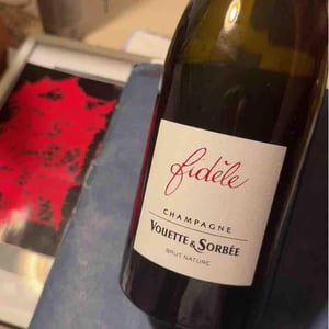 Fidèle - Brut Nature - Vouette & Sorbée - Héloïse et Bertrand Gautherot 