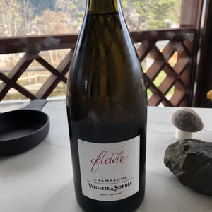 Fidèle - Brut Nature - Vouette & Sorbée - Héloïse et Bertrand Gautherot 