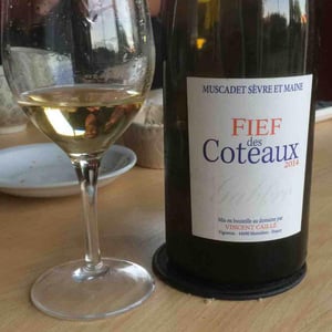 Fief des Coteaux - Gabbro - Le Fay d'Homme - Vincent Caillé 