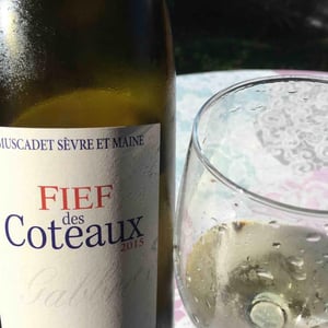 Fief des Coteaux - Gabbro - Le Fay d'Homme - vincent-caille