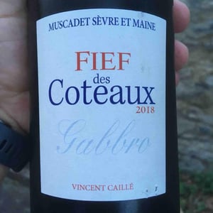 Fief des Coteaux - Gabbro - Le Fay d'Homme - Vincent Caillé 