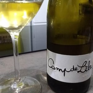Camp de Lebre - Mas des Agrunelles - Frédéric Porro & Stéphanie Ponson 