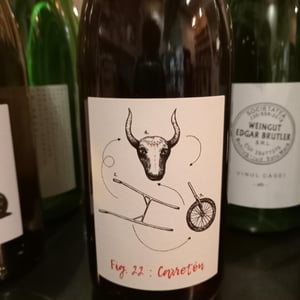 Fig 22 Carreton - La Bancale - bastien-baillet-celine-schuers