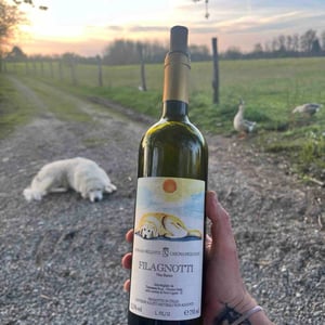 Cascina degli Ulivi - Ilaria Bellotti - Filagnotti