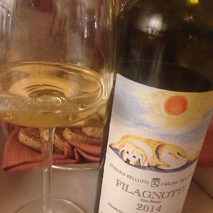 Cascina degli Ulivi - Ilaria Bellotti - Filagnotti