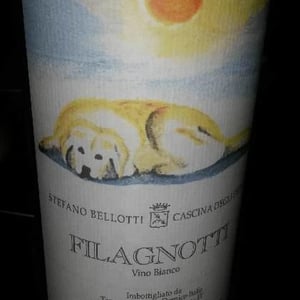 Cascina degli Ulivi - Ilaria Bellotti - Filagnotti