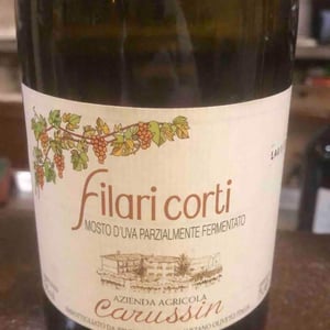 Filari Corti - Azienda Agricola Carussin - bruna-ferro