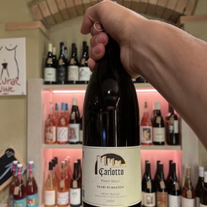 Filari di Mazzon - Ferruccio Carlotto - Ferruccio Carlotto -2020