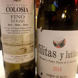 Filitas Y Lutitas - La Axarquia - vicentwme-inat
