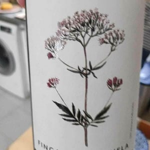 Finca Sanguijuela - Bodegas Schatz - Friedrich Schatz 