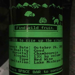 Find Wild Fruit - Lake Michigan - nathaniel-rose
