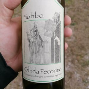 Fiobbo - Aurora - Gabrielli, Spaccasassi, Pignati, Pugliese, Ciommi 