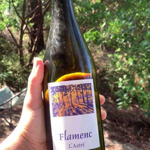 Flamenc - Domaine de l'Astré - Aude Duval et Sylvain Ohayon 