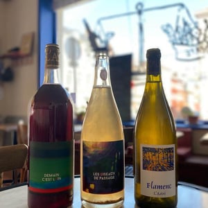 Flamenc - Domaine de l'Astré - Aude Duval et Sylvain Ohayon 