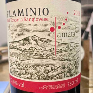 Flaminio 19
