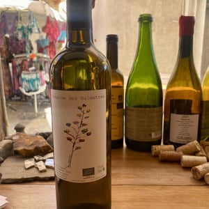 Fleur D’agave - Domaine des Balmettes - Lucien Salani -2022
