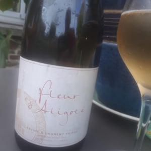 Domaine Tripoz - Céline & Laurent Tripoz - Fleur D'Aligoté