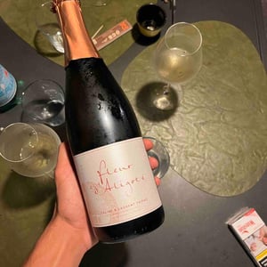 Fleur D'Aligoté - Domaine Tripoz - Céline & Laurent Tripoz 