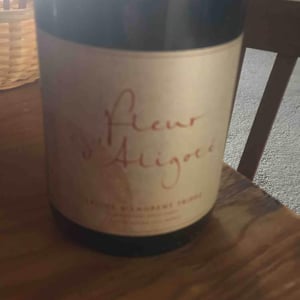 Domaine Tripoz - Céline & Laurent Tripoz - Fleur D'Aligoté