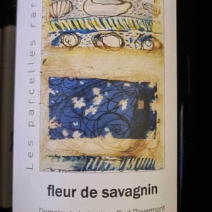 Les Parcelles Rares - Fleur de Savagnin - Domaine Labet - julien-charline-romain-labet