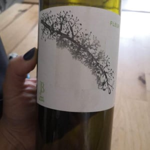 Fleur - Le Jonc Blanc - isabelle-carles-franck-pascal