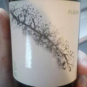 Fleur - Le Jonc Blanc - isabelle-carles-franck-pascal