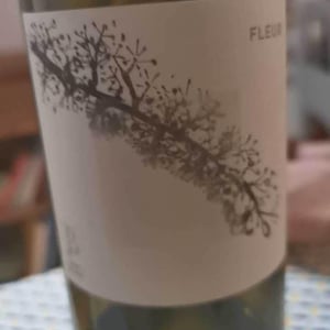 Le Jonc Blanc - Isabelle Carles & Franck Pascal - Fleur