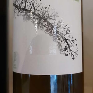 Fleur - Le Jonc Blanc - isabelle-carles-franck-pascal